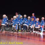 Plánské kluziště hostilo Winter Classic Hockey Days
