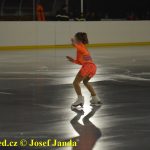 Plánské kluziště hostilo Winter Classic Hockey Days