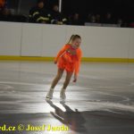 Plánské kluziště hostilo Winter Classic Hockey Days