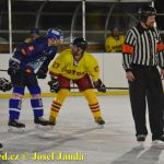 Plánské kluziště hostilo Winter Classic Hockey Days