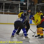 Plánské kluziště hostilo Winter Classic Hockey Days