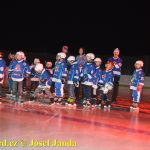 Plánské kluziště hostilo Winter Classic Hockey Days