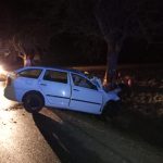 Octavia narazila do stromu, řidiče transportoval vrtulník