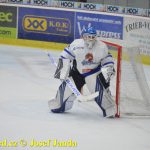 Kohouti naložili Chebu sedmičku. Zahráli si i mladíci