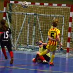 VIDEO: Milevští mladší žáci přišli o medaili až na penalty