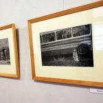 Do Muzea fotografie v Jindřichově Hradci se vrátila výstava Via Lucis