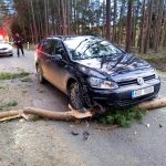 Hasiči mají nejvíce práce s následky větru na Táborsku, Písecku, Jindřichohradecku a Strakonicku