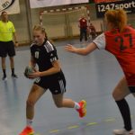 V souboji prvního s druhým házenkářky Strakonic přehrály bez problémů HC Plzeň