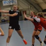 V souboji prvního s druhým házenkářky Strakonic přehrály bez problémů HC Plzeň
