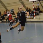 V souboji prvního s druhým házenkářky Strakonic přehrály bez problémů HC Plzeň