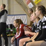 V souboji prvního s druhým házenkářky Strakonic přehrály bez problémů HC Plzeň