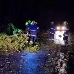 Vichřice je zpátky. U Jenišovic nad Milevskem hasiči zprůjezdňovali silnici