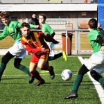 Strakoničtí žáci podlehli v přípravě Roudnému 1:3