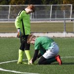 Strakoničtí žáci podlehli v přípravě Roudnému 1:3