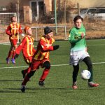 Strakoničtí žáci podlehli v přípravě Roudnému 1:3