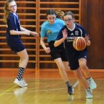 VIDEO: Basketbalový turnaj strakonických škol ovládla Dukelská