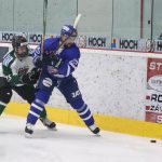 Důležitý krok! Táborští hokejisté vyválčili v pekelné atmosféře druhé finálové vítězství