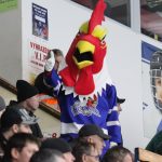 Důležitý krok! Táborští hokejisté vyválčili v pekelné atmosféře druhé finálové vítězství