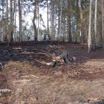 Hasiči měli o víkendu opět napilno. Zasahovali u více než tří desítek požárů