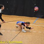 Starší žákyně bojovaly v Táboře ve finálovém kole Českého poháru. Táborské volejbalistky čeká kvalifikace o mistrovství republiky