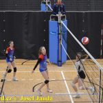 Starší žákyně bojovaly v Táboře ve finálovém kole Českého poháru. Táborské volejbalistky čeká kvalifikace o mistrovství republiky