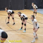 Starší žákyně bojovaly v Táboře ve finálovém kole Českého poháru. Táborské volejbalistky čeká kvalifikace o mistrovství republiky