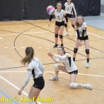 Starší žákyně bojovaly v Táboře ve finálovém kole Českého poháru. Táborské volejbalistky čeká kvalifikace o mistrovství republiky