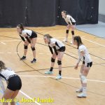 Starší žákyně bojovaly v Táboře ve finálovém kole Českého poháru. Táborské volejbalistky čeká kvalifikace o mistrovství republiky