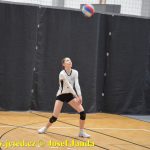 Starší žákyně bojovaly v Táboře ve finálovém kole Českého poháru. Táborské volejbalistky čeká kvalifikace o mistrovství republiky