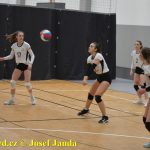 Starší žákyně bojovaly v Táboře ve finálovém kole Českého poháru. Táborské volejbalistky čeká kvalifikace o mistrovství republiky