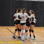 Starší žákyně bojovaly v Táboře ve finálovém kole Českého poháru. Táborské volejbalistky čeká kvalifikace o mistrovství republiky