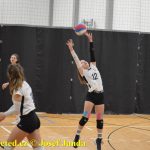 Starší žákyně bojovaly v Táboře ve finálovém kole Českého poháru. Táborské volejbalistky čeká kvalifikace o mistrovství republiky