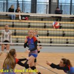 Starší žákyně bojovaly v Táboře ve finálovém kole Českého poháru. Táborské volejbalistky čeká kvalifikace o mistrovství republiky