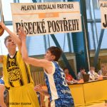 Nekompletní Sršni vydřeli v rozhodujícím duelu postup