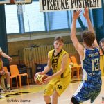 Nekompletní Sršni vydřeli v rozhodujícím duelu postup