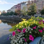 České Budějovice se probouzí do jara a rozkvétají