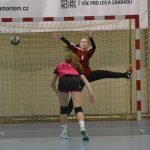 Strakonické dorostenky si připsaly čtvrtou výhru, poradily si s Plzní