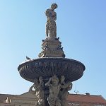 Obyvatelé Českých Budějovic se seznámili s životem ptáků ve městě. Nepřítelem holubů je tu sokol