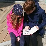 Obyvatelé Českých Budějovic se seznámili s životem ptáků ve městě. Nepřítelem holubů je tu sokol