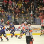 Motor je v semifinále! Pardubice vyřídil v pěti zápasech, zářil jubilant Pech