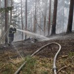 U Kroclova hasili přes noc požár lesa