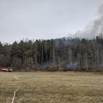 U Kroclova hasili přes noc požár lesa