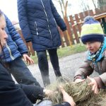 VIDEO: Caparti v Putimi vynesli smrtku k řece, dospělí ji vykoupali v Blanici
