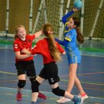 Házená: Milevská mládež zvládla trojboj s Pískem vítězně