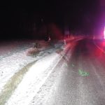 Opilý řidič poškodil pomníček z dřívější tragické nehody