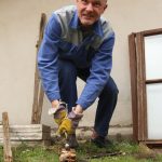 VIDEO: Dvorek knihovny ve Vodňanech se mění před očima. Dobrovolníci navlékli montérky