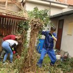 VIDEO: Dvorek knihovny ve Vodňanech se mění před očima. Dobrovolníci navlékli montérky