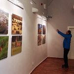 V Muzeu fotografie je poslední šance vidět výstavu o přírodě v zemích visegrádské skupiny