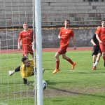 VIDEO: Netolice doma vyfasovaly tenisového kanára