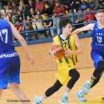 Sršni na zlatý hattrick nedosáhli, stopku jim vystavili bratři sokolové